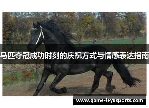 马匹夺冠成功时刻的庆祝方式与情感表达指南